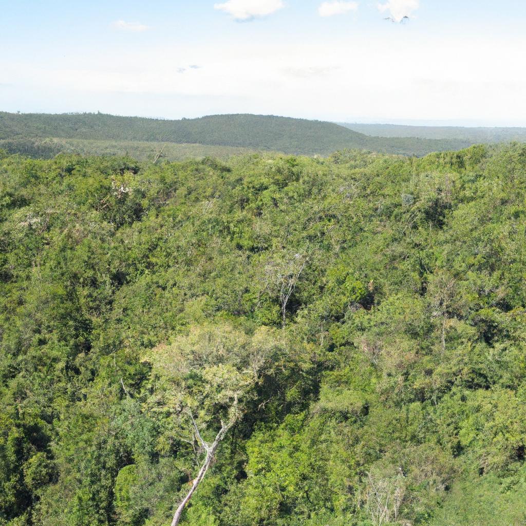 A Importância da Educação Ambiental nas Iniciativas de Agroflorestas Comunitárias