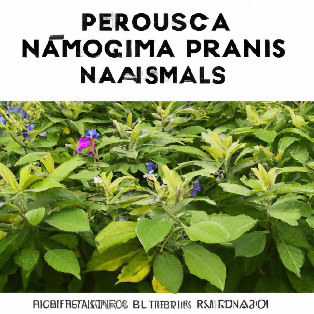Normas e Regulamentações para Importação e Venda de Plantas em Países Europeus