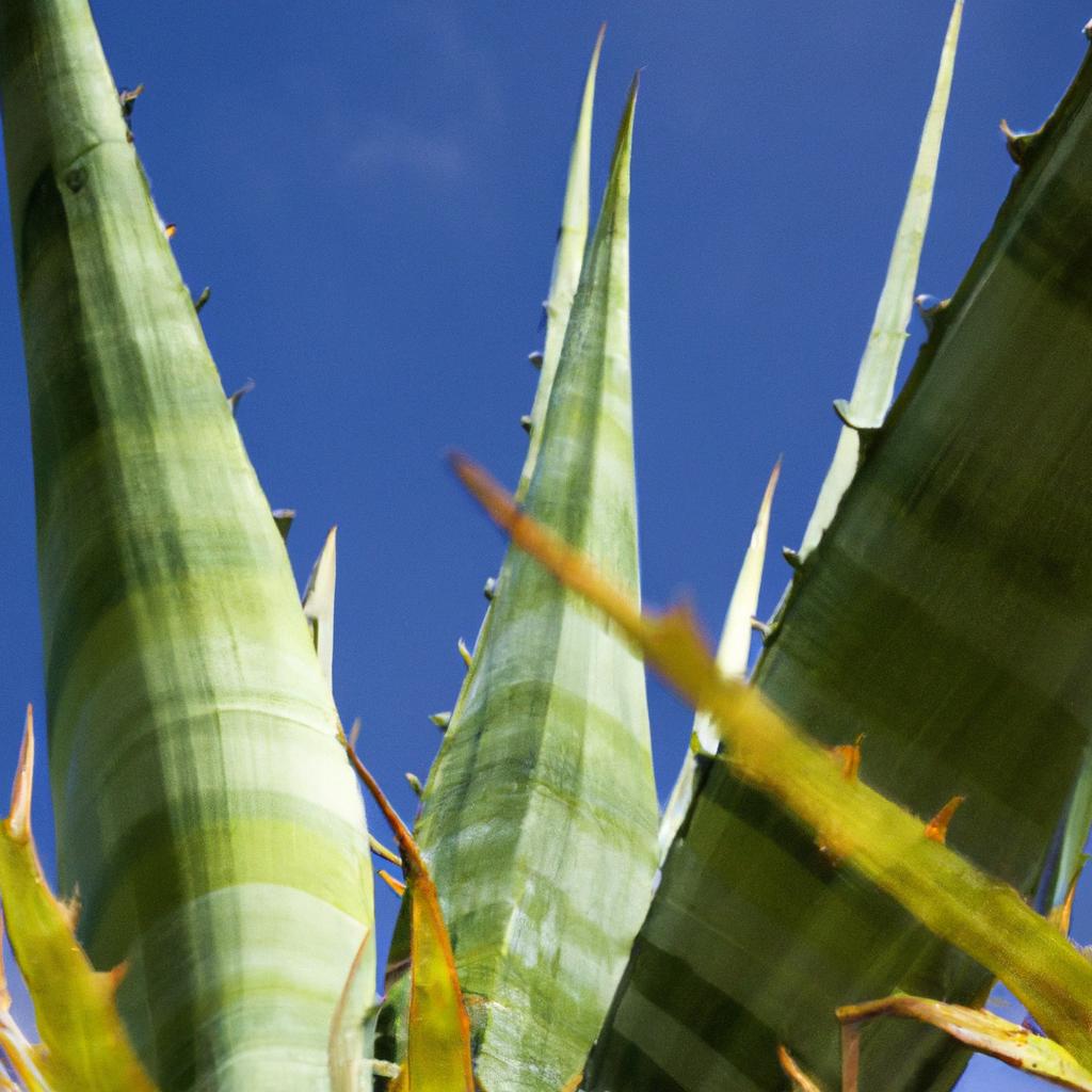 Potencial Crescente de Demandas Específicas por Plantas Exóticas na Europa
